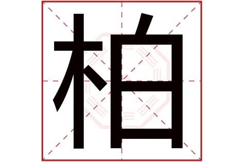 柏五行|柏字的五行是什么,柏的五行属性及吉利寓意